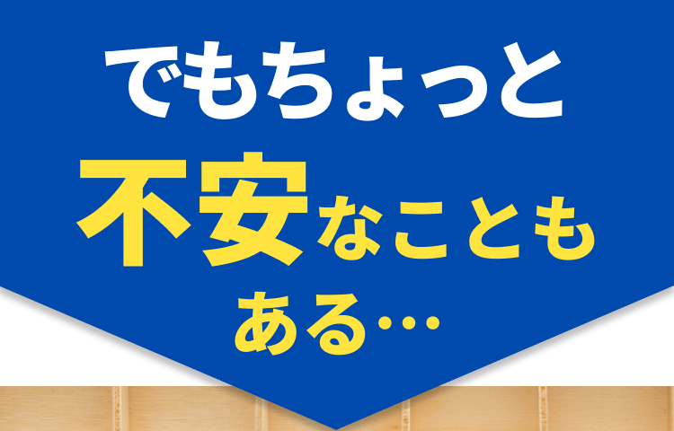 でもちょっと不安なこともある